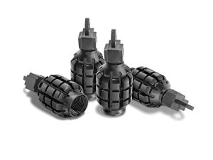 4 PCS Car Tire Valve Stem Cap/Cover