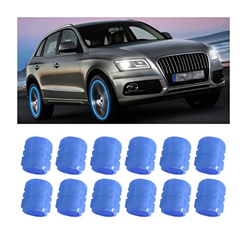 12PCS Fluorescent Car Tire Valve Stem Caps 12PCS Fluorescent Car Tire Valve Stem Caps